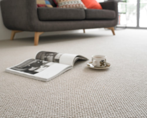 Carpet-Header-2